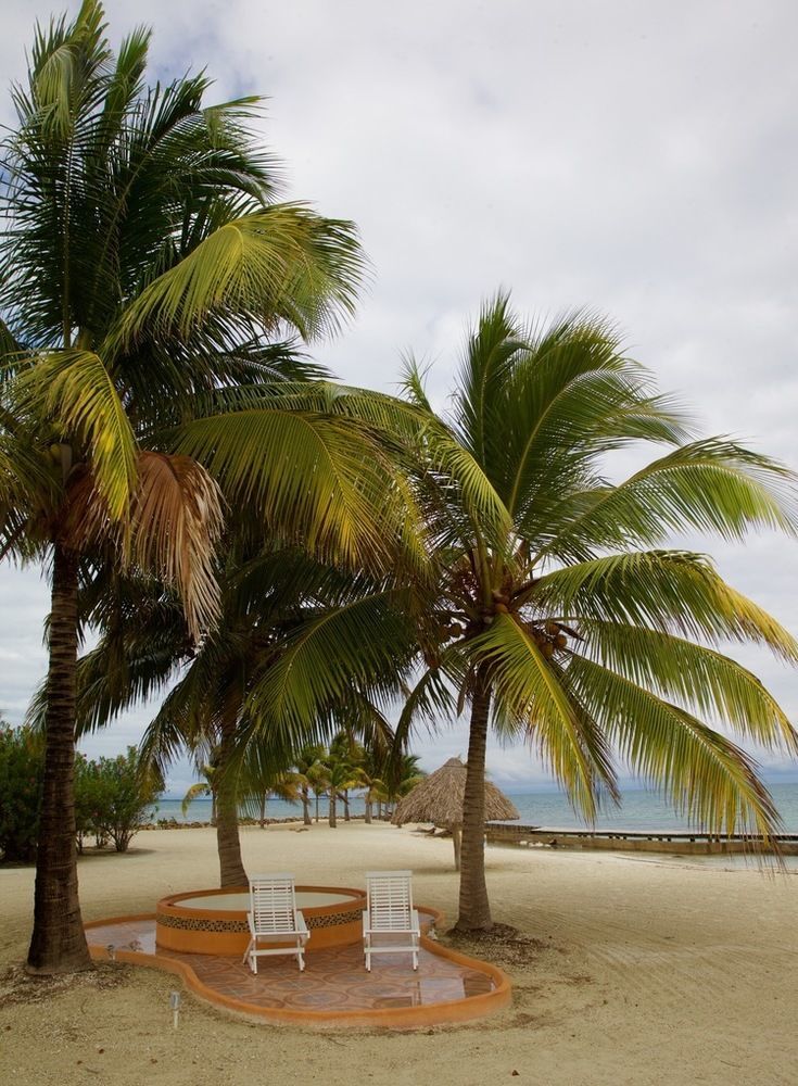 Royal Belize Hotel Thatch Caye Eksteriør billede