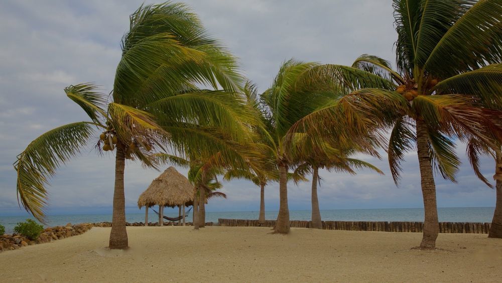 Royal Belize Hotel Thatch Caye Eksteriør billede