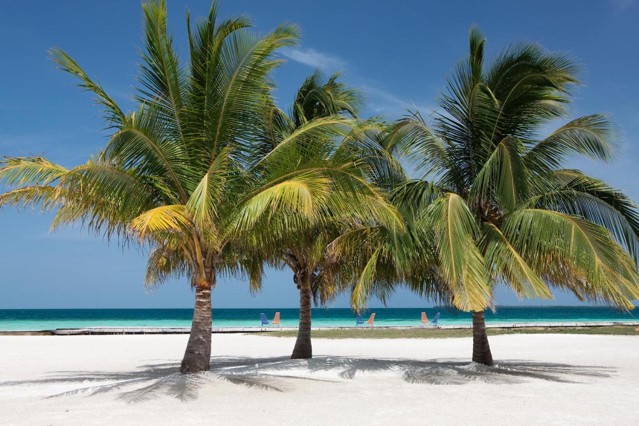 Royal Belize Hotel Thatch Caye Eksteriør billede