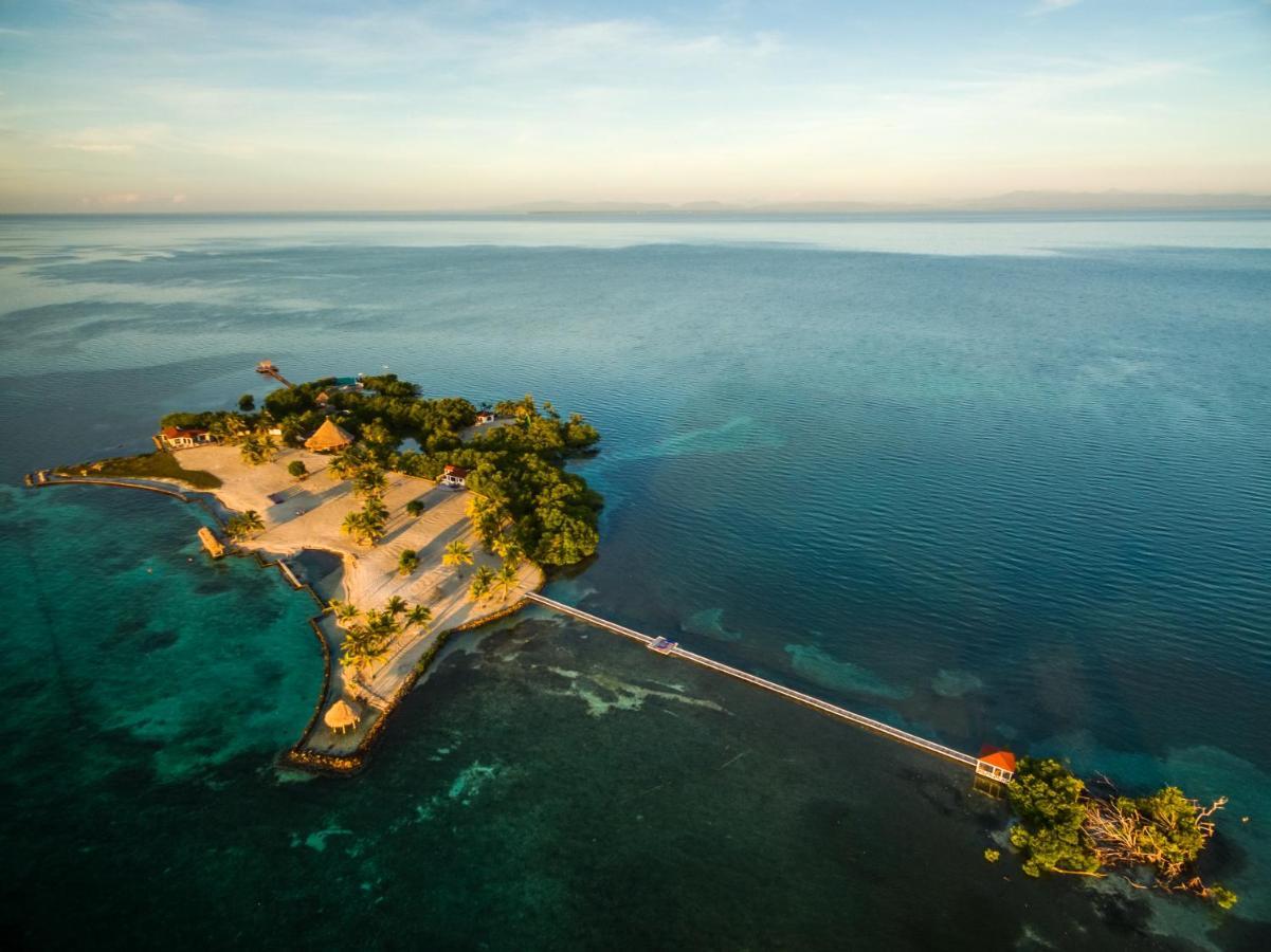 Royal Belize Hotel Thatch Caye Eksteriør billede